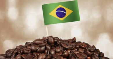 Why Brazilian Coffee is Considered One of the Best in the World